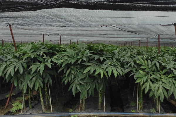 微信图片_20230721110155