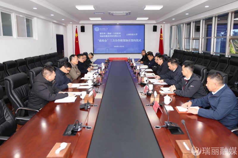 842bb59b-e454-40f5-bea3-0e87b66903b1_l