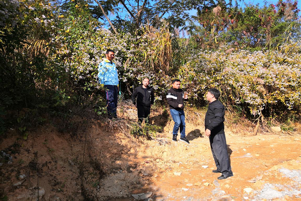 暗访暗查当前森林草原防灭火工作