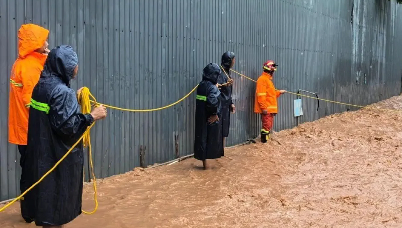 7ce7408e-e2d6-4bd3-bc46-14791d6bd59a