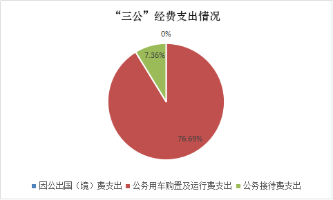 图表6（三公经费支出情况）
