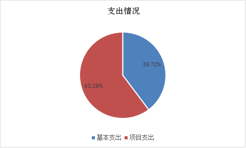 图表4（支出情况）