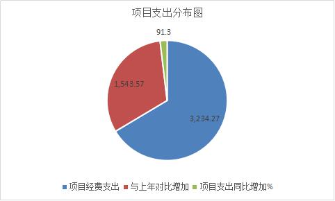 5项目支出分布图