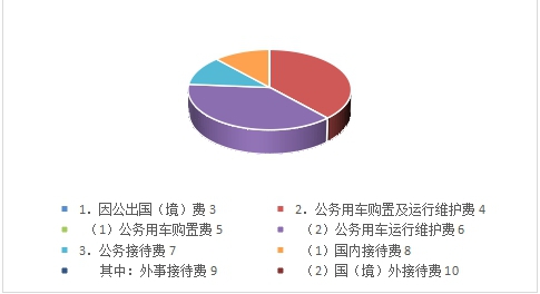 8、一般公共预算财政拨款“三公”经费支出决算具体情况