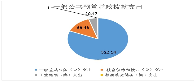 一般公共预算财政拨款支出
