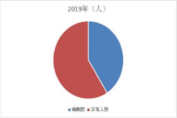 插入图1（实有人数占比分布图）