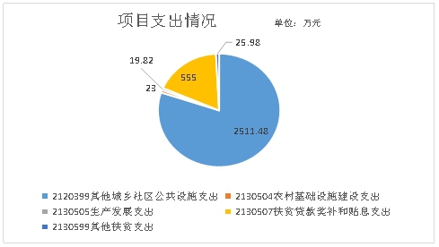 项目支出情况图