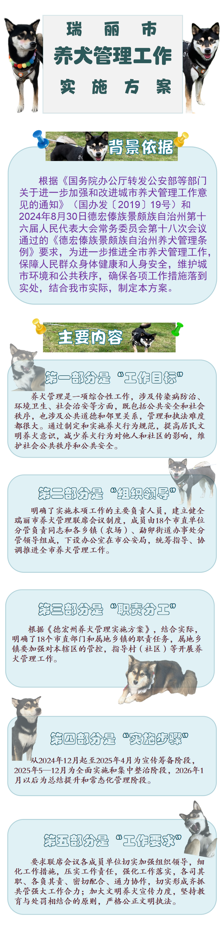 一图看懂 瑞丽市养犬管理工作实施方案