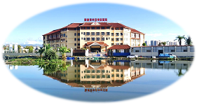 瑞丽市中傣医院