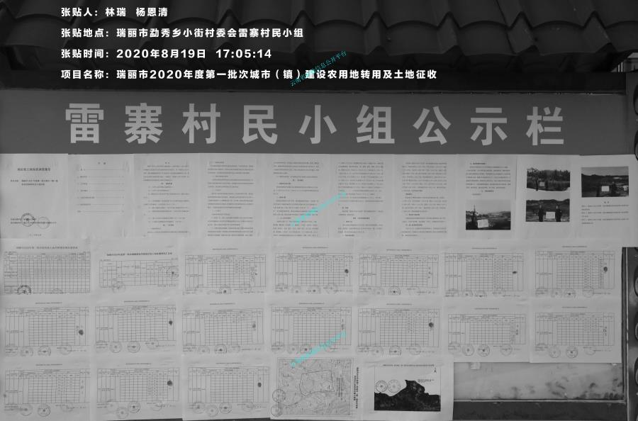 现状调查报告(局部）