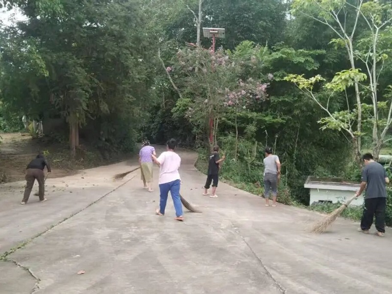 照片4