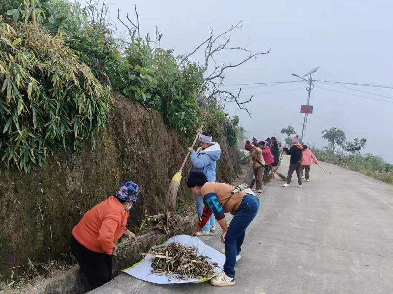 照片7