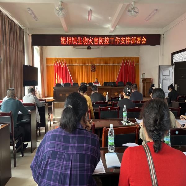 图片6