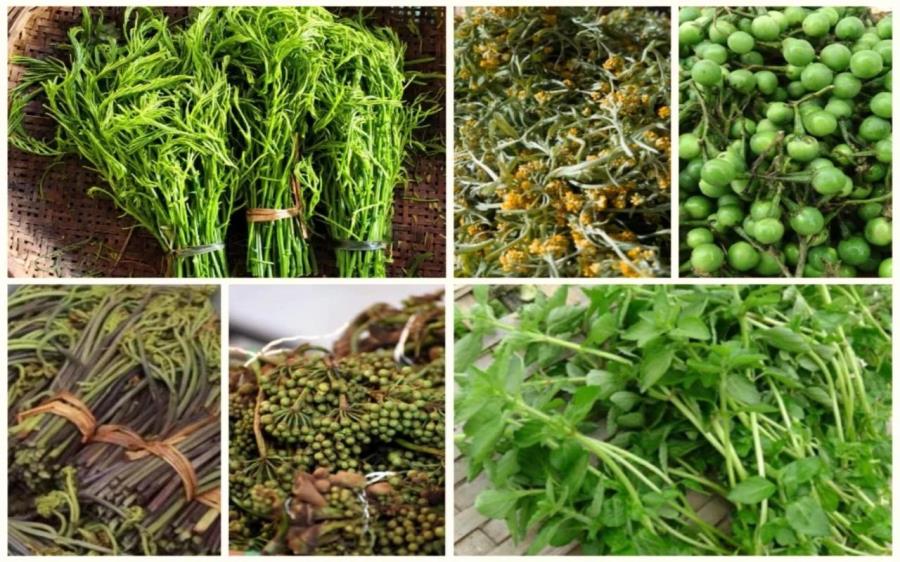 微信图片_20240423110841