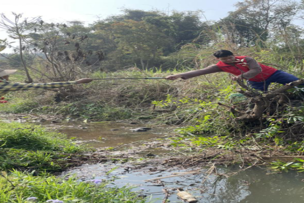 微信图片_20230403090243_副本