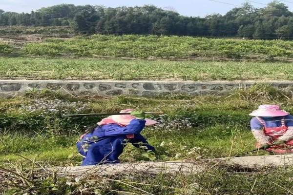 微信图片_20230403090245_副本