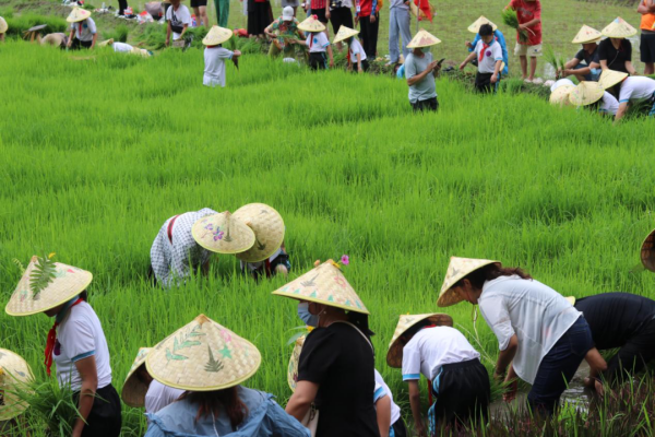 微信图片_20230703160814_副本