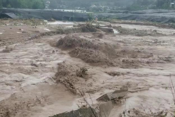 微信图片_20230801145625_1