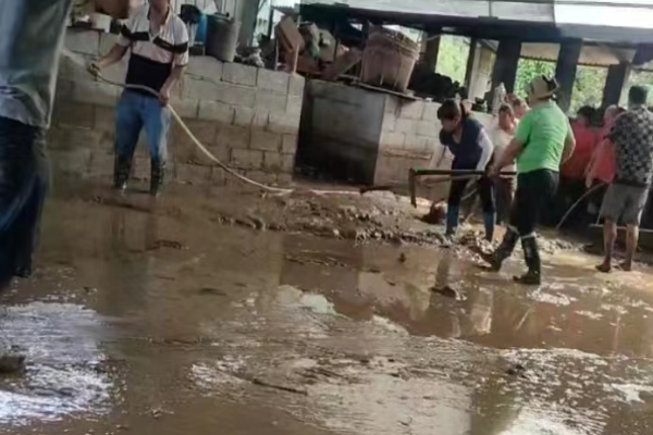 微信图片_20230801145626_2