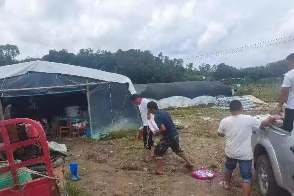 微信图片_20230801145626_5