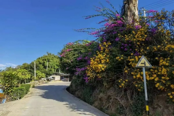 37c1e7c55a817e59020582e286af695