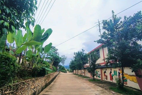 33366319565020f27cbeeddb32f2062