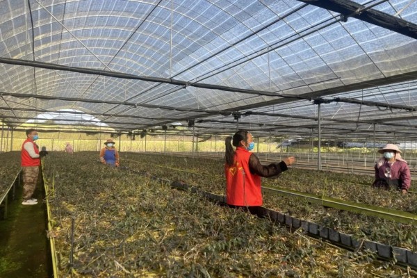 5f3959488d832ce0aadad9fb250d615