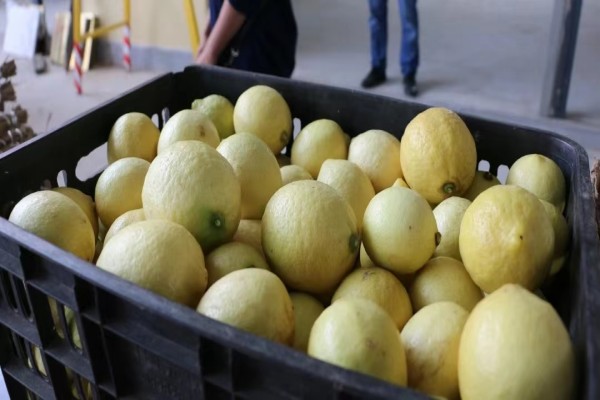 5b967da1acb7b20a67c84740284a181