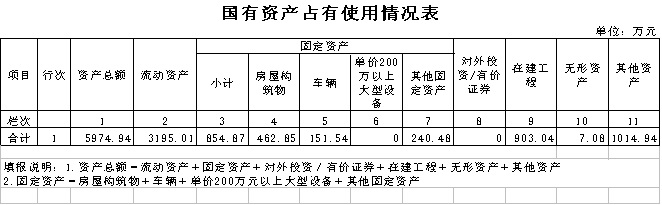 国有资产占用使用情况表