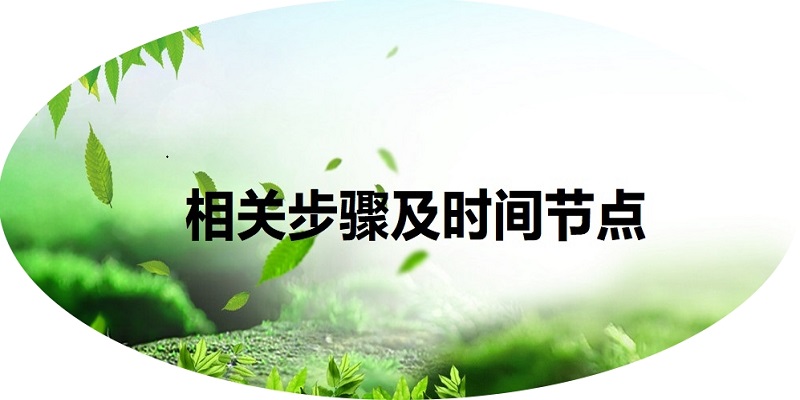 相关步骤及时间节点