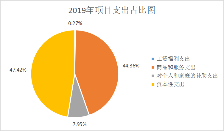 项目支出占比图