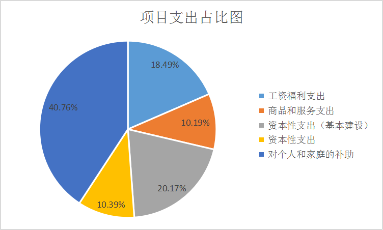 5.项目支出占比图