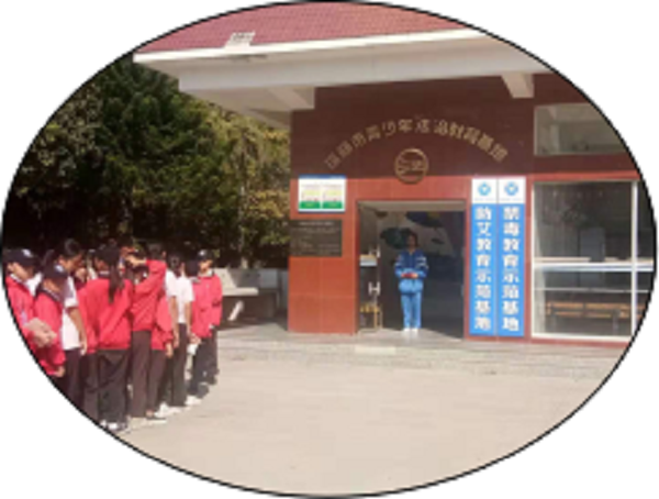 不敢露丝无纺布VG