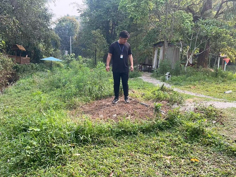 违建亭子拆除后