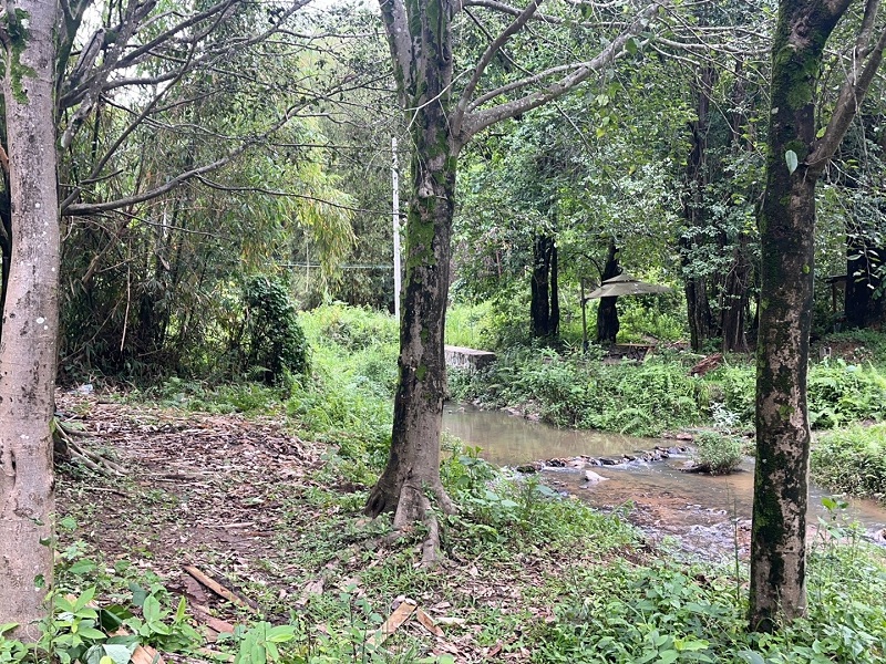 违建围栏拆除后