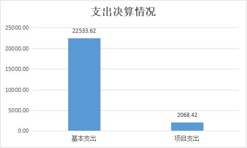 支出决算情况